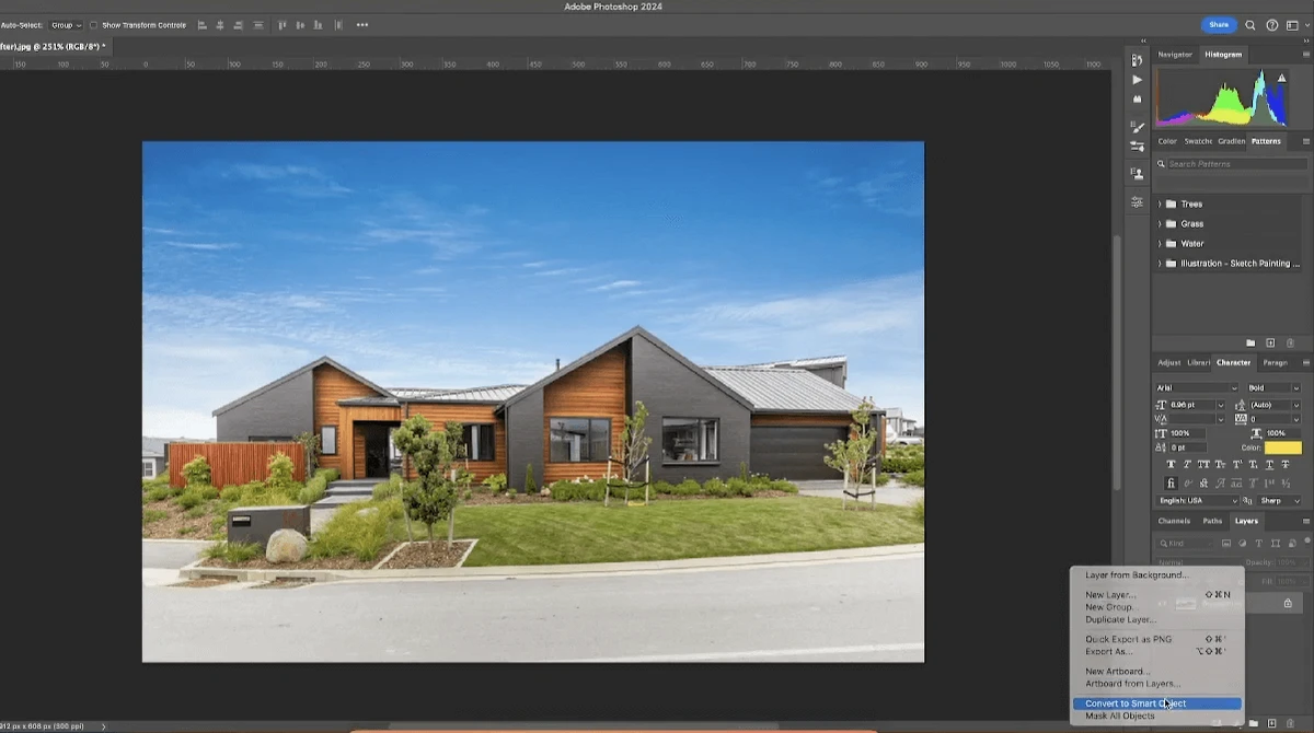 Photoshop shines when it comes to precision and advanced retouching