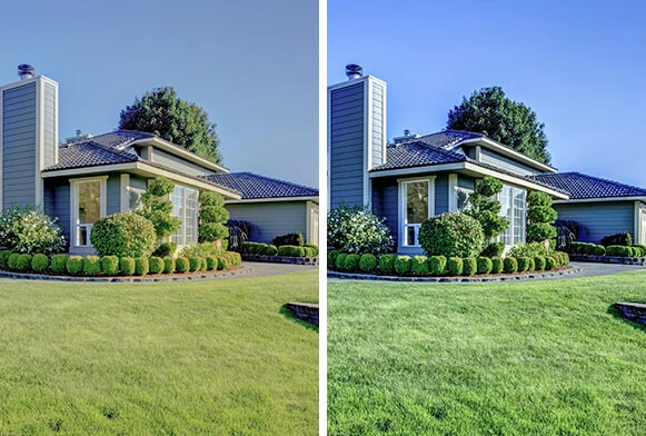 Choosing between Lightroom vs Photoshop ultimately depends on your editing goals