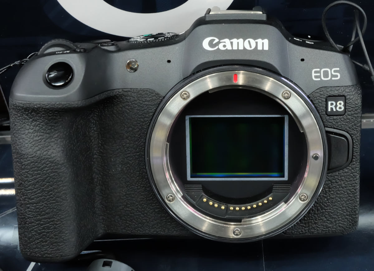 Best Canon Camera for Real Estate Photography R8
