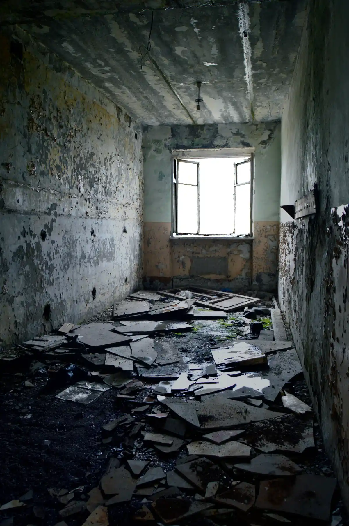 Virtual Renovation for Flippers 4