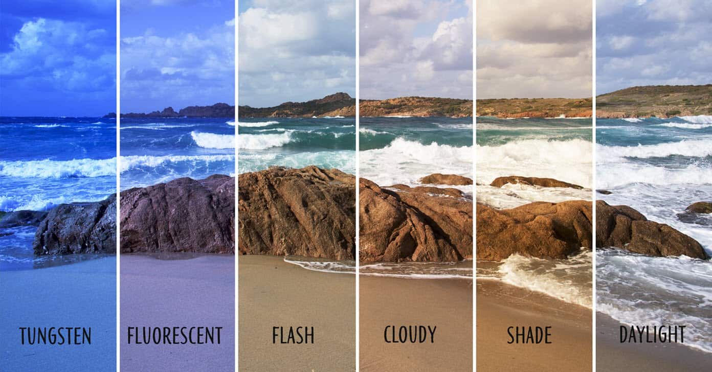 White balance ensures colors in your photos appear natural